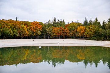 Herfstkleuren met reflectie in water