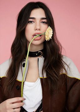 billie eilish van movie & music poster