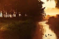 Het gouden uur... op de rivier van Maarten Honinx thumbnail