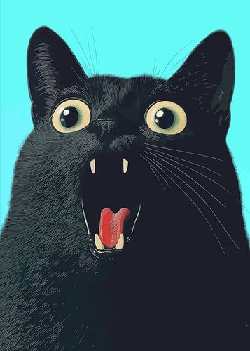 Surprised Black Cat