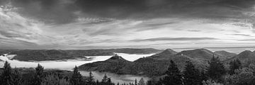 La forêt du Palatinat au lever du soleil en noir et blanc. sur Manfred Voss, Schwarz-weiss Fotografie