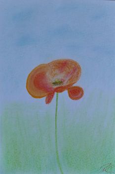 Sanfte Mohnblüte
