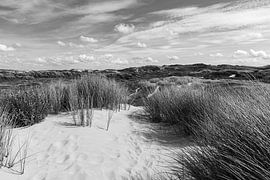 Historisch duinlandschap van Rob Donders Beeldende kunst