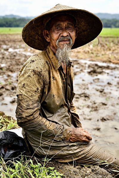 Traces de vie et de travail d’un vieil homme dans les champs de riz par Frank Photos