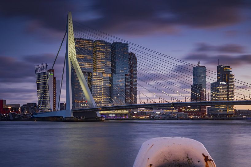 Rotterdam skyline by gaps photography