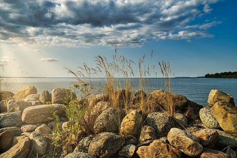 Lake in Sweden with white clouds, blue water and trees on the shore by Martin Köbsch