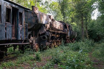 Train à vapeur abandonné sur Tim Vlielander