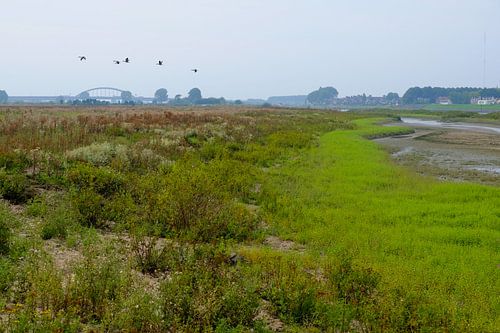 Vian-Auenlandschaft