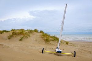 Marin de terre