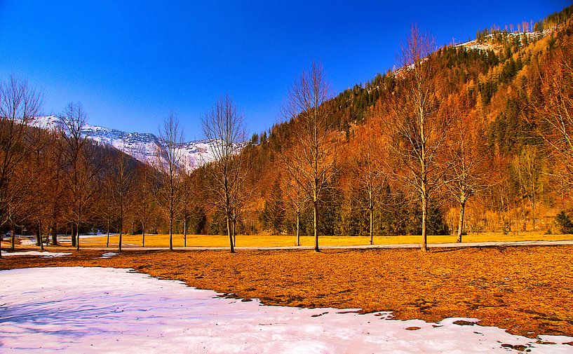Melting snow by Johann Hübler