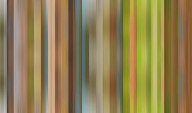 Color palette of Autumn in the Netherlands by Reina Nederland in kleur