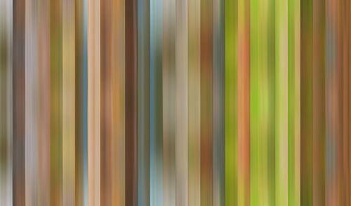 Farbpalette des Herbstes in den Niederlanden