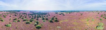Blühendes Heidekraut im Nationalpark Sallandse Heuvelrug, in 360° aus der Luft von Paul Oostveen