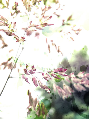invisible
