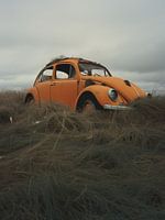De vergeten VW Kever