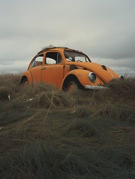 Der vergessene VW Käfer