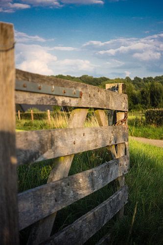 Gate in the meadow by Ivo Michielsen