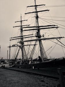 Voilier