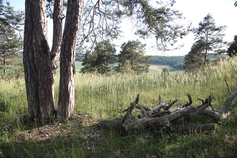 Un mur naturel dans la Rhön par Martin Flechsig