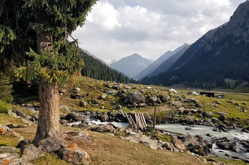 Vallée d'Altyn Arashan, Kirghizstan sur Ton Wever