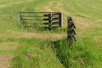 Fence between two meadows