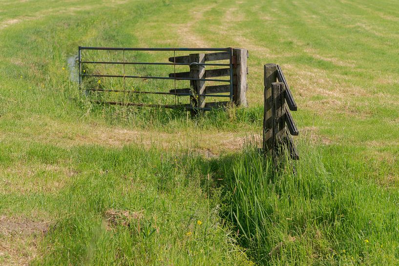 Fence between two meadows by Beeldbank Alblasserwaard