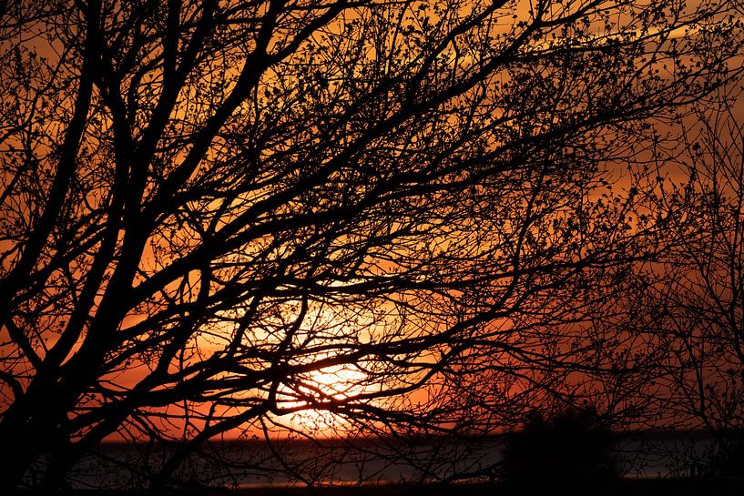setting sun by Maaike Krimpenfort