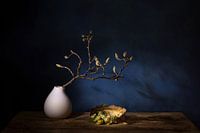 Magnolia dream .still life with magnolia and Cape goldberry