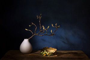 Magnolia dream .stilleven met magnolia en Kaapse goudbes