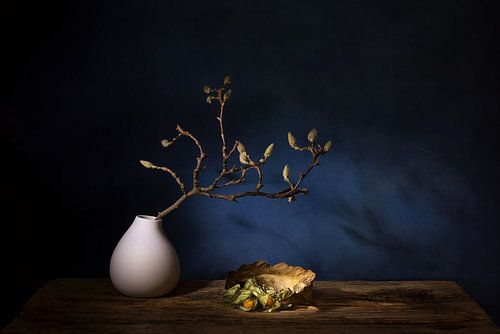 Magnolientraum .Stillleben mit Magnolie und Kap-Goldbeere