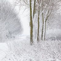 Winterlandschap