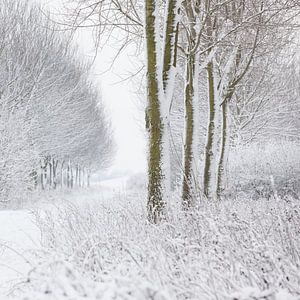 Winterlandschap