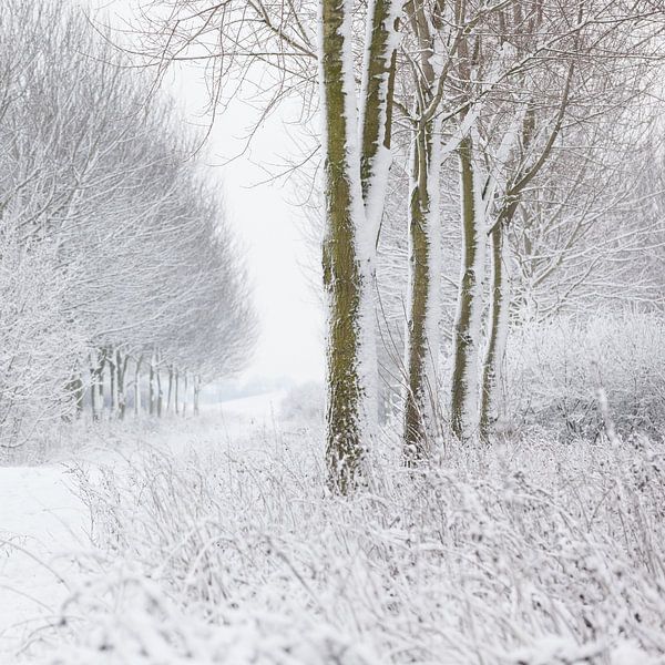 Winterlandschap von Marijke van Eijkeren