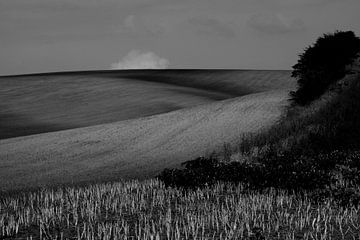 MILLS 1 van Miroslav Ptacek