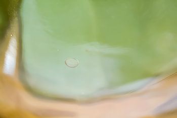 Floating in thin air - abstracte fotografie