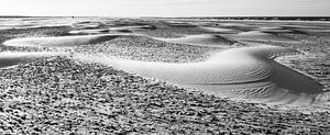 Shifting dunes on the beach of Ameland