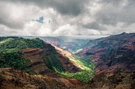 Waimea Canyon von road to aloha Miniaturansicht