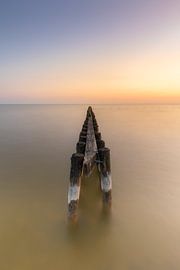 Rangée de perches dans l'Ijsselmeer