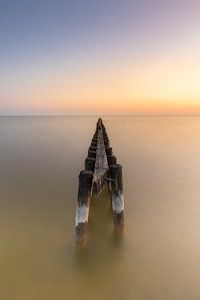 Pfahlreihe im Ijsselmeer