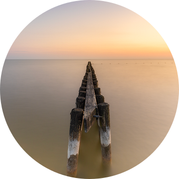 Palenrij in het Ijsselmeer