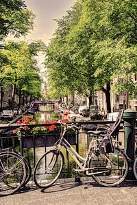 Jordaan Egelantiersgracht Amsterdam Niederlande Alt
