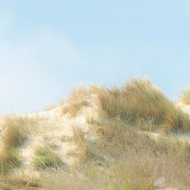 Die Dünen von Middelkerke von Rik Verslype
