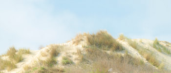 Die Dünen von Middelkerke