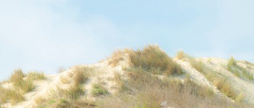 De duinen van Middelkerke van Rik Verslype
