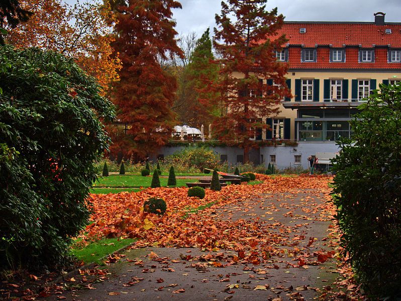 Tempête de feuilles par Edgar Schermaul