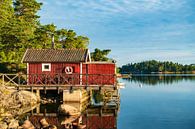 Schärengarten an der schwedischen Küste vor Stockholm von Rico Ködder Miniaturansicht
