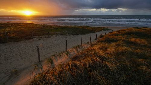 Zon, zee en strand aan de Hollandse kust