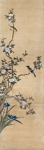 Chen Mei,Pomme fleurs et oiseaux, oiseaux et fleurs chinoises Epluchure