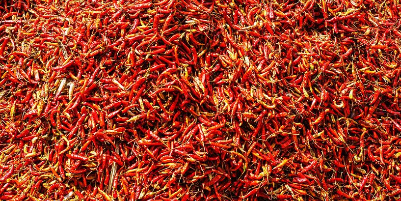 pepperoni by Stefan Havadi-Nagy