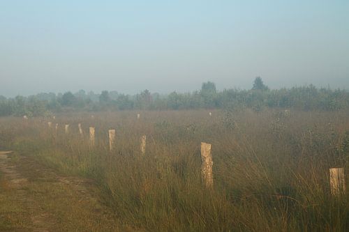 Engbertsdijksvenen 10